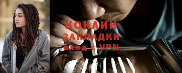 дживик Алексин
