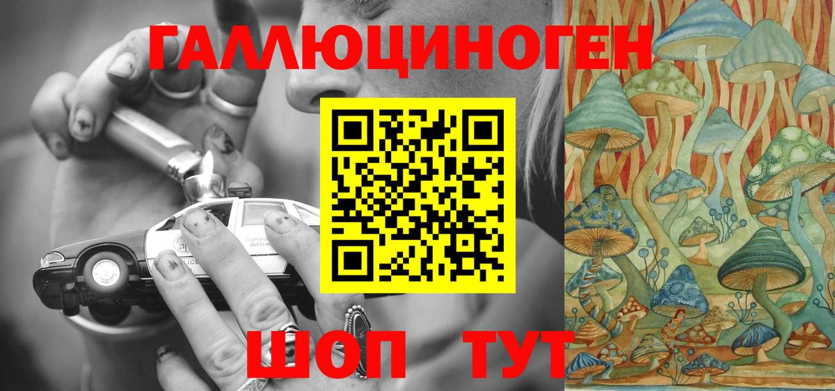 Электрогорск  Псилоцибиновые грибы GOLDEN TEACHER  Вход с VPN 